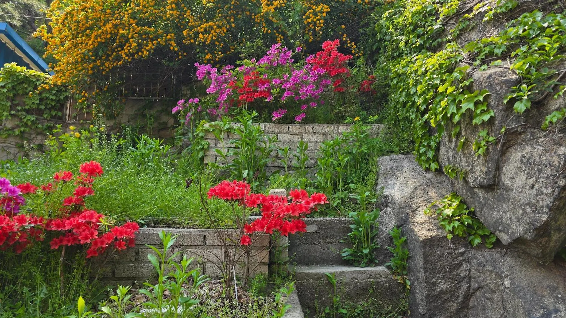 Seochon Secret Cave House Βίλα Σεούλ