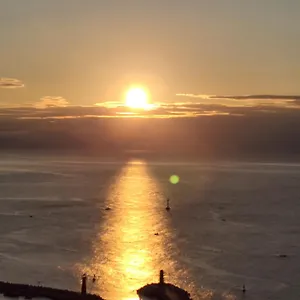 https://suntree.busan-hotelsweb.com